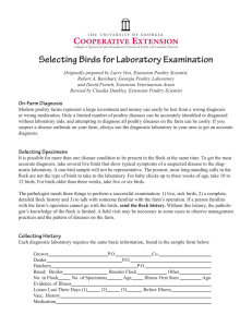 Selecting Birds for Laboratory Examination
