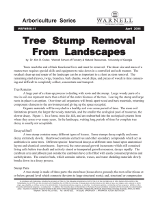 Tree  Stump  Removal From  Landscapes