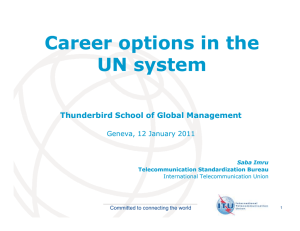 Career options in the UN system