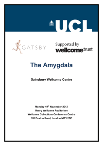 The Amygdala Sainsbury Wellcome Centre