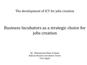 Business Incubators as a strategic choice for jobs creation