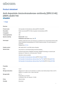 Anti-Aspartate Aminotransferase antibody [EPR12145]