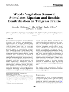 Woody Vegetation Removal Stimulates Riparian and Benthic Denitrification in Tallgrass Prairie