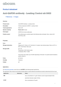 Anti-GAPDH antibody - Loading Control ab15822 Product datasheet 1 References 3 Images