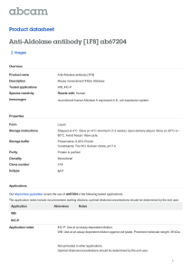 Anti-Aldolase antibody [1F8] ab67204 Product datasheet 2 Images Overview