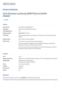 Anti-Aldolase antibody [EPR9725] ab150396 Product datasheet 1 Image Overview