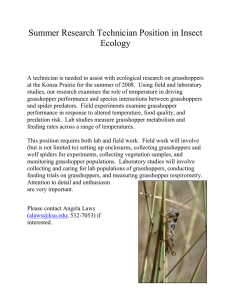 Summer Research Technician Position in Insect Ecology