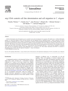mig-5/Dsh controls cell fate determination and cell migration in C.... Timothy Walston , Chaobo Guo , Rui Proenca