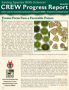 Saving Species With Science C Frozen Ferns Face a Favorable Future ®