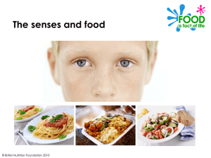 The senses and food © British Nutrition Foundation 2010