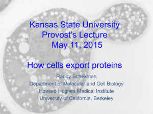 Kansas State University Provost’s Lecture May 11, 2015 How cells export proteins