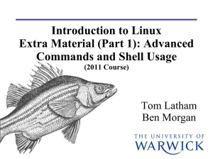 Introduction to Linux Extra Material (Part 1): Advanced Commands and Shell Usage