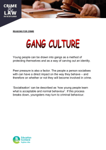 Young people can be drawn into gangs as a method... protecting themselves and as a way of carving out an...