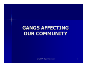 GANGS AFFECTING OUR COMMUNITY Spring 2007 -
