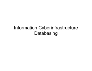 Information Cyberinfrastructure Databasing