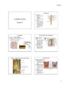 Lymphatic System Chapter 22 10/28/11 Introduction