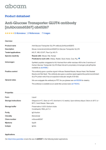 Anti-Glucose Transporter GLUT4 antibody [mAbcam65267] ab65267
