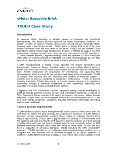 TXUED Case Study eMeter Executive Brief:  Introduction