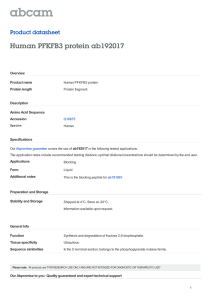 Human PFKFB3 protein ab192017 Product datasheet Overview Product name