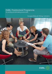 Postdoctoral Programme EMBL An exciting and stimulating environment European Molecular Biology Laboratory