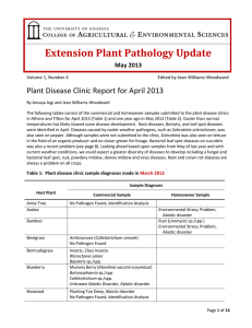 Extension Plant Pathology Update Plant Disease Clinic Report for April 2013