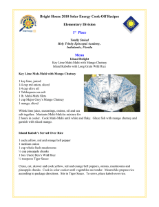 Bright House 2010 Solar Energy Cook-Off Recipes Elementary Division Menu