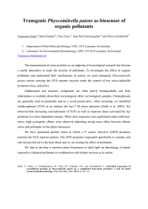 Physcomitrella patens organic pollutants