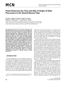 Pax6 Influences the Time and Site of Origin of Glial