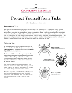 Protect Yourself from Ticks Importance of Ticks