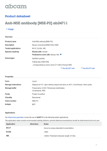 Anti-NSE antibody [NSE-P2] ab24711 Product datasheet 1 Image