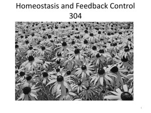 Homeostasis and Feedback Control 304 1