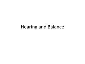 Hearing and Balance