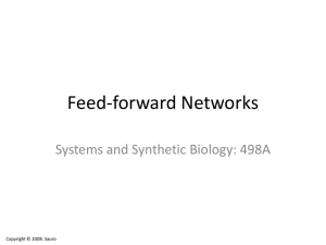 Feed-forward Networks Systems and Synthetic Biology: 498A Copyright © 2008: Sauro