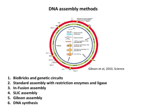 DNA assembly methods