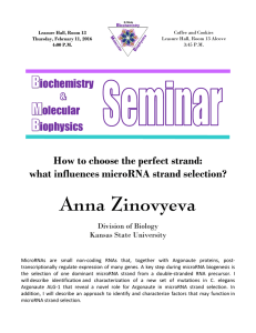 Anna Zinovyeva  How to choose the perfect strand:
