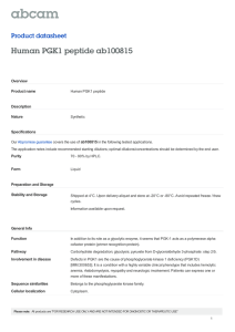 Human PGK1 peptide ab100815 Product datasheet Overview Product name