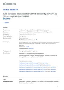 Anti-Glucose Transporter GLUT1 antibody [EPR3915] (Phycoerythrin) ab209449