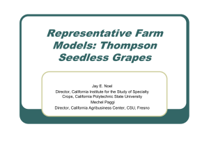 Representative Farm Models: Thompson Seedless Grapes