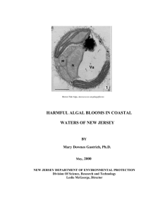 HARMFUL ALGAL BLOOMS IN COASTAL WATERS OF NEW JERSEY BY