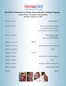 2013/2014 Foundations of Infant Mental Health Training Program