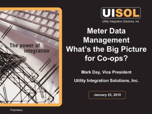 Meter Data Management What’s the Big Picture for Co-ops?