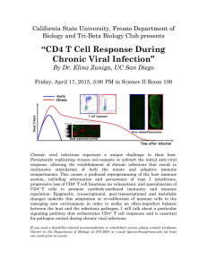 “CD4 T Cell Response During Chronic Viral Infection”
