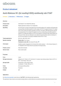 Anti-Histone H1 (tri methyl K25) antibody ab17347 Product datasheet 2 Abreviews 3 Images