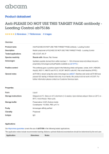 Anti-PLEASE DO NOT USE THIS TARGET PAGE antibody -