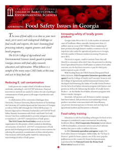 T Food Safety Issues in Georgia