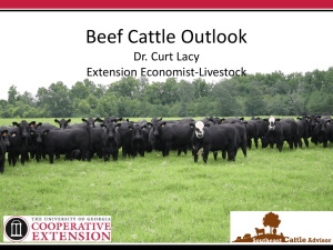 Beef Cattle Outlook Dr. Curt Lacy Extension Economist-Livestock
