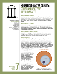 hoUsehold waTer qUaliTy: Coliform baCTeria in yoUr waTer WHAT ARE BACTERIA?
