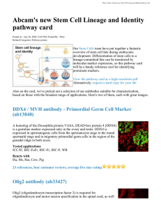 Abcam's new Stem Cell Lineage and Identity pathway card