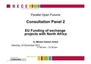 Consultation Panel 2 EU Funding of exchange projects with North Africa