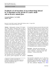 Feedbacks of soil inoculum of mycorrhizal fungi altered